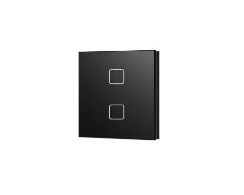 Панель LED димера DEYA ZigBee на 2 зони (TS2(WZS)-Black)