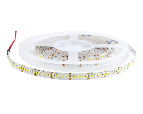 Светодиодная лента ESTAR SMD 3528/240 (IP20) premium 24V белая (6000-6500К)