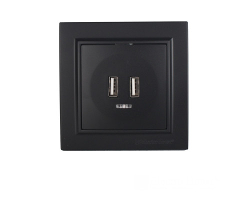Розетка USB (2 порти) 2A, Enzo  бездоганний графіт