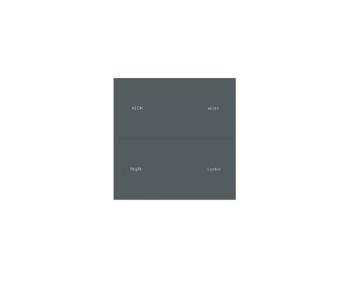 Сенсорна панель DEYA ZigBee на 1 зону (PK4(WZS)-Dark-grey)