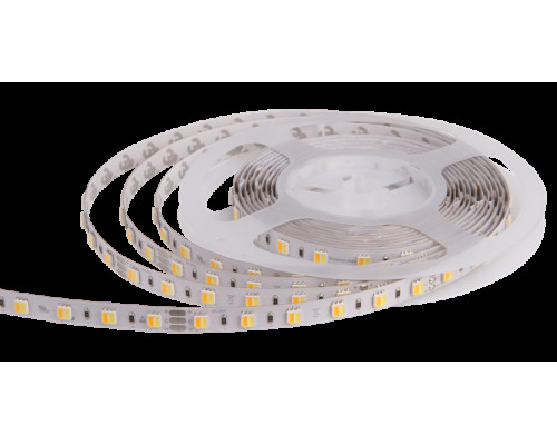 Світлодіодна стрічка RISHANG 60-5050-24V-IP20 10.8W 2700K/6500K 5м (RD0060AC-B-MW)